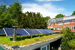 Begrüntes Dach mit Photovoltaikanlage